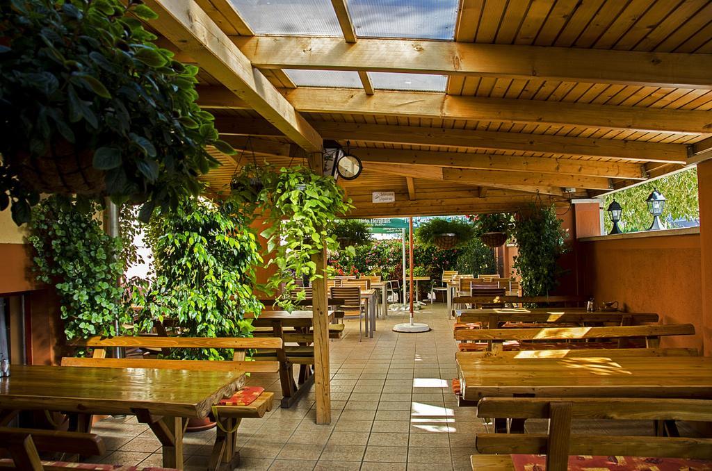 Arany Patko Panzio Hotel Debrecen Ngoại thất bức ảnh